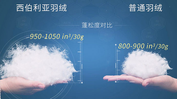 星空游戏(StarSky Sports)官方网站